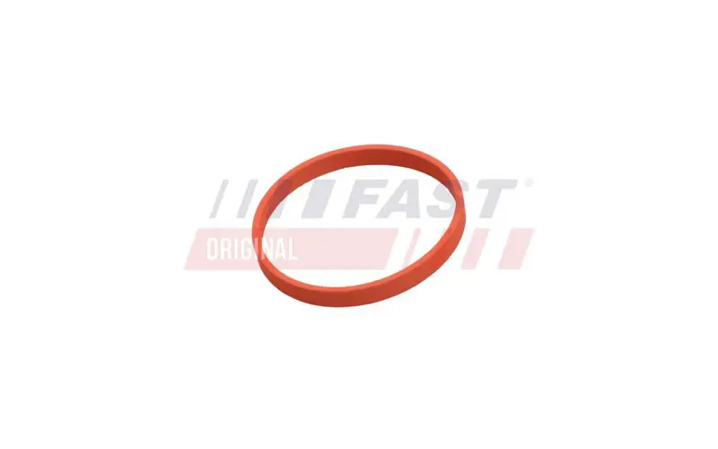 Blīve, Izplūdes gāzu recirkulācijas vārsts FAST