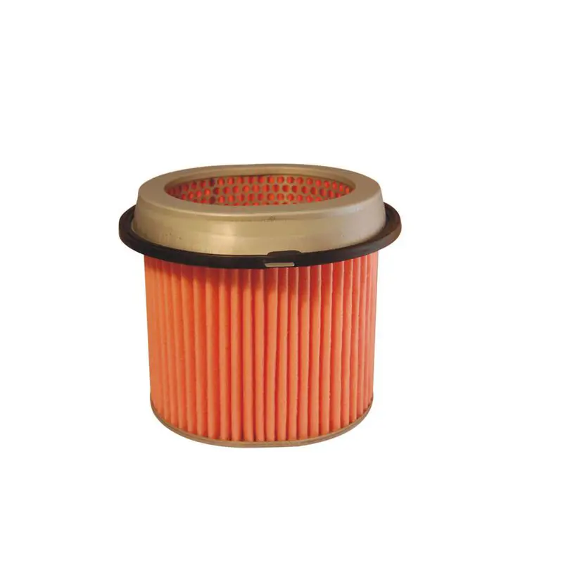 Gaisa filtrs FILTRON AM433