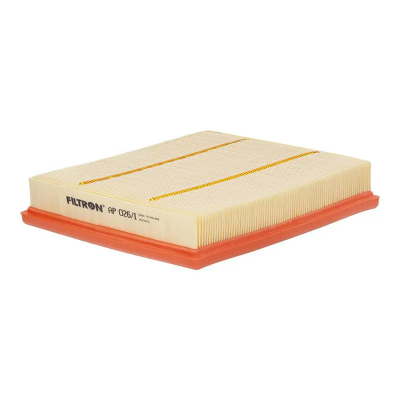 Gaisa filtrs FILTRON AP0261