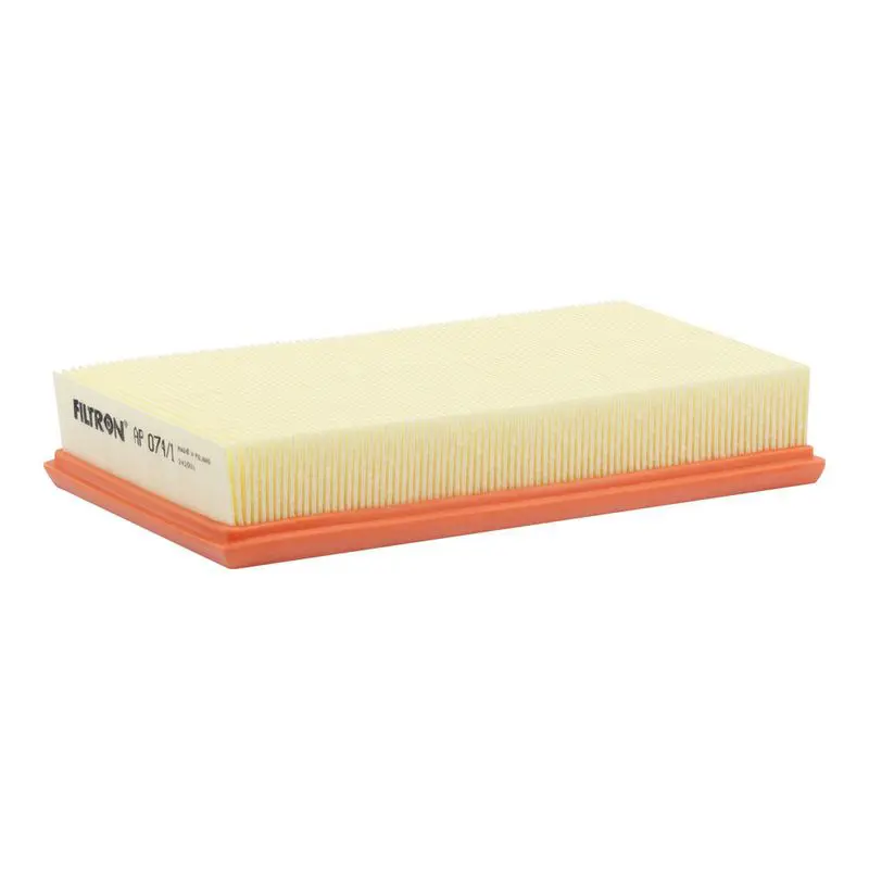 Gaisa filtrs FILTRON AP0741