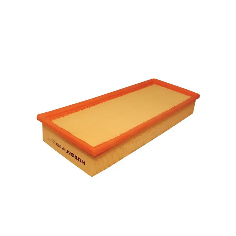 Gaisa filtrs FILTRON AP099