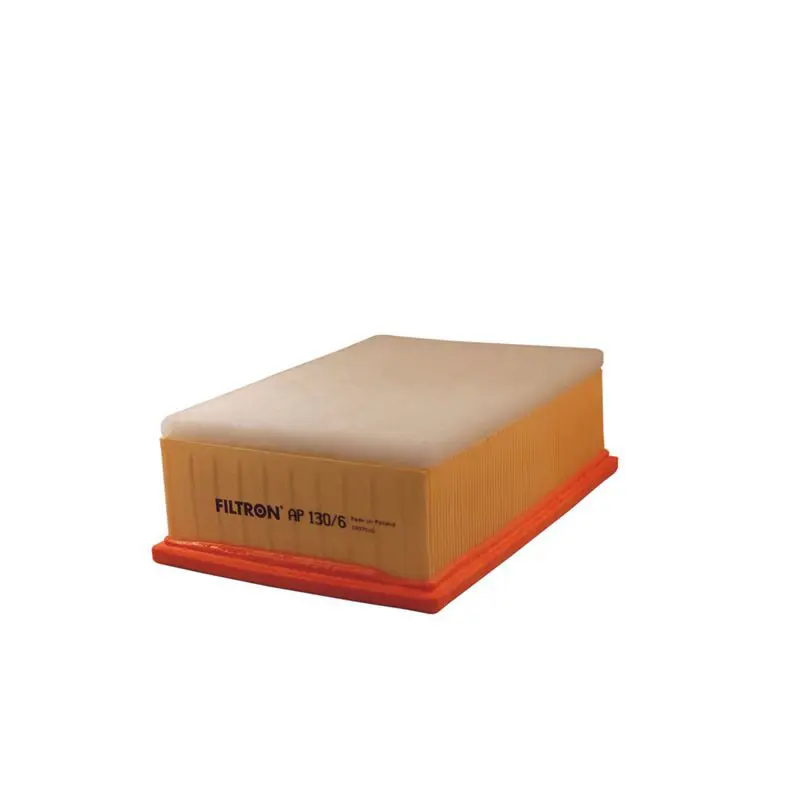 Gaisa filtrs FILTRON AP1306