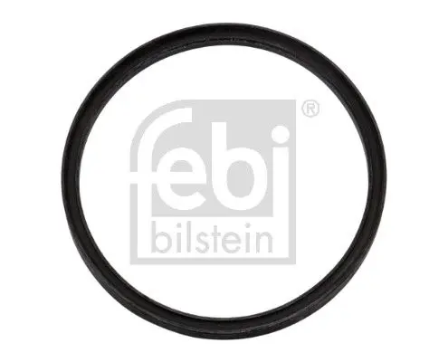 Blīve, Degvielas augstspiediena sūknis Febi 05028