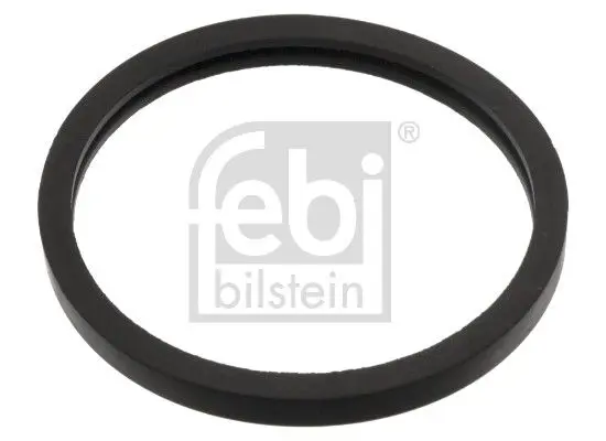 Blīve, Termostats Febi 05156