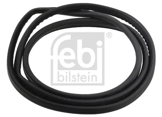 Blīve, Aizmugurējais stikls Febi 08883