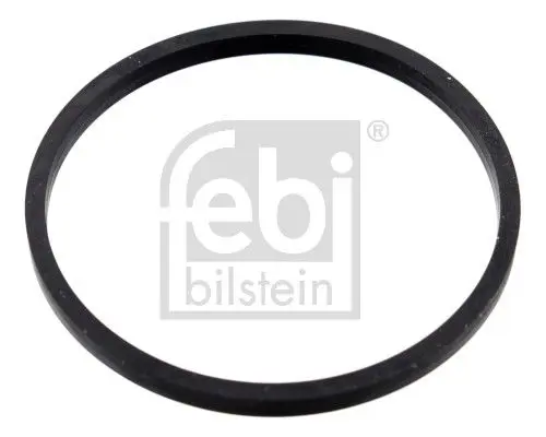 Blīve, Termostats Febi 100055