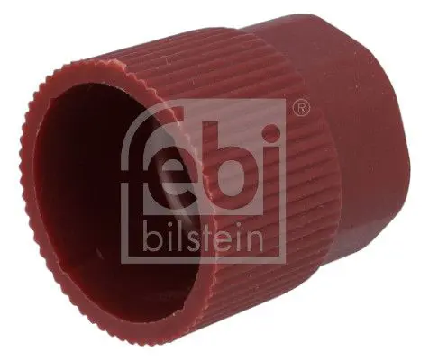 Vāciņš, Apkopes ventilis Febi 1001703