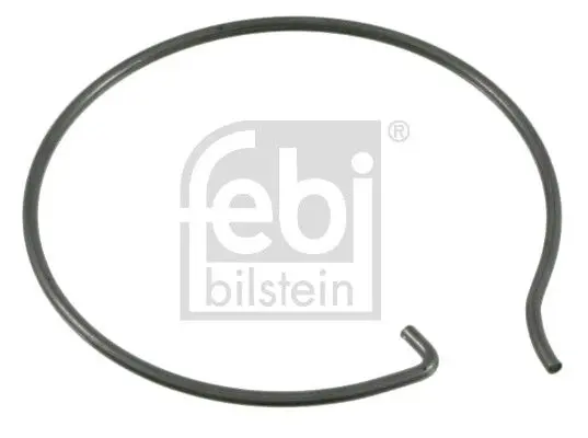 Sprostgredzens Febi 10462