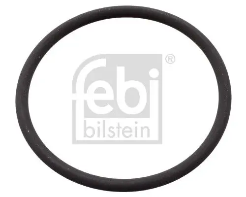 Blīve, Degvielas augstspiediena sūknis Febi 106582