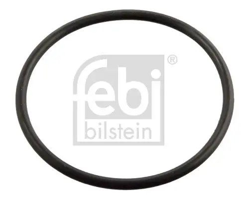 Blīve, Termostats Febi 11443