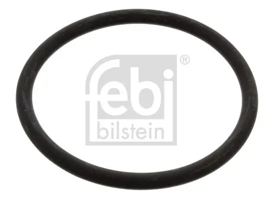 Blīve, Termostats Febi 17966