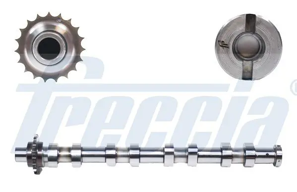 Sadales vārpsta Freccia CM052145