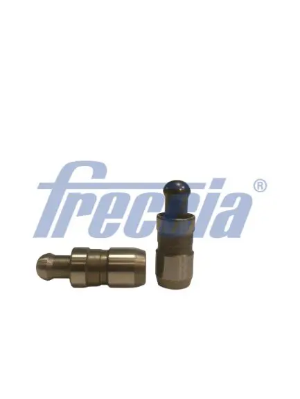 Bīdītājs Freccia PI060040