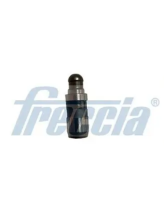 Bīdītājs Freccia PI060061