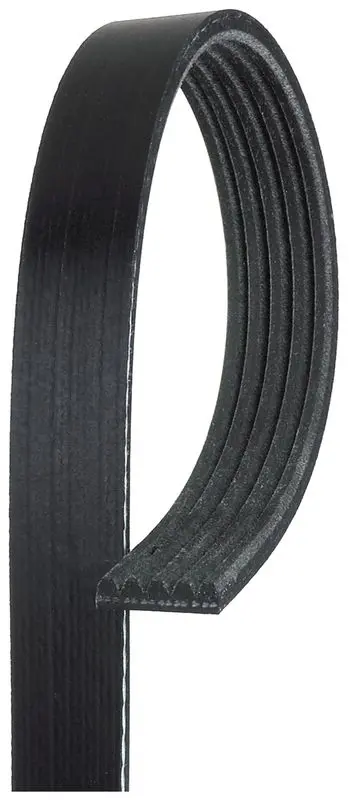 Ķīļrievu siksna Gates 5PK848