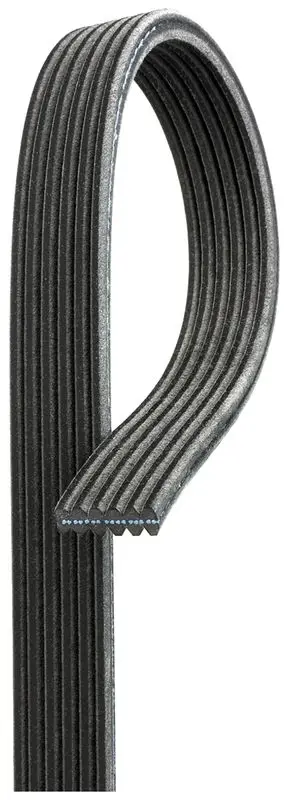 Ķīļrievu siksna Gates 6DPK1825