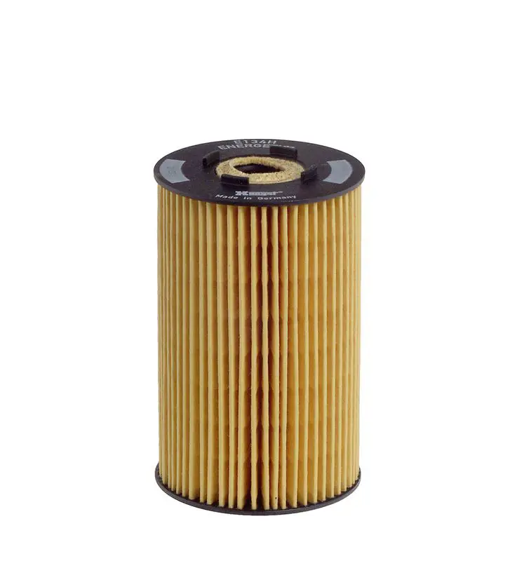 Eļļas filtrs HENGST E134HD06
