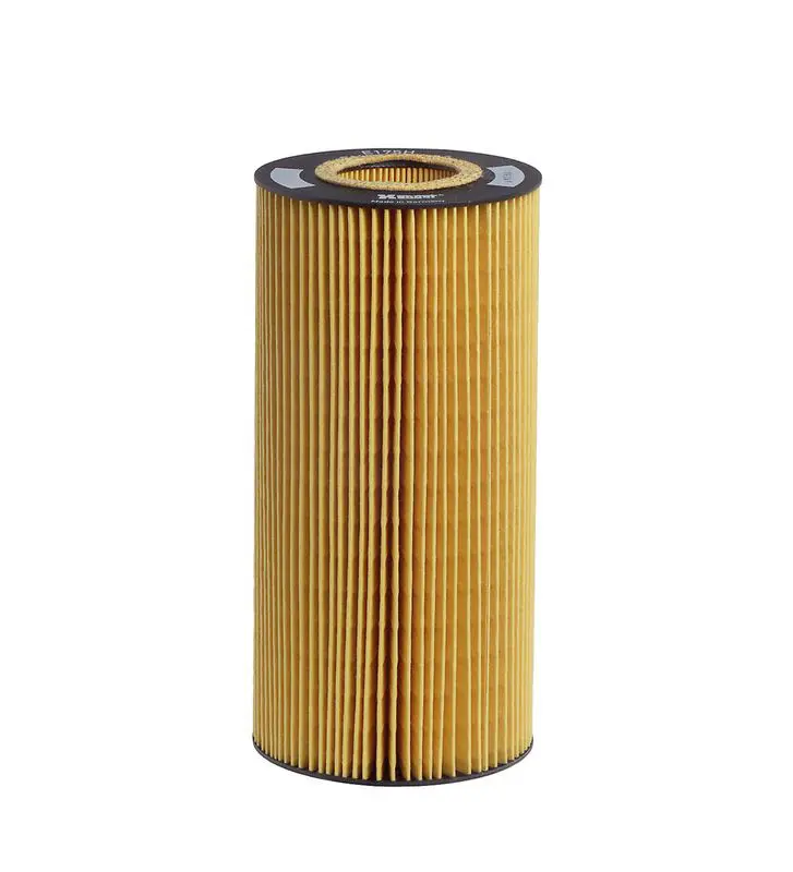 Eļļas filtrs HENGST E175HD129