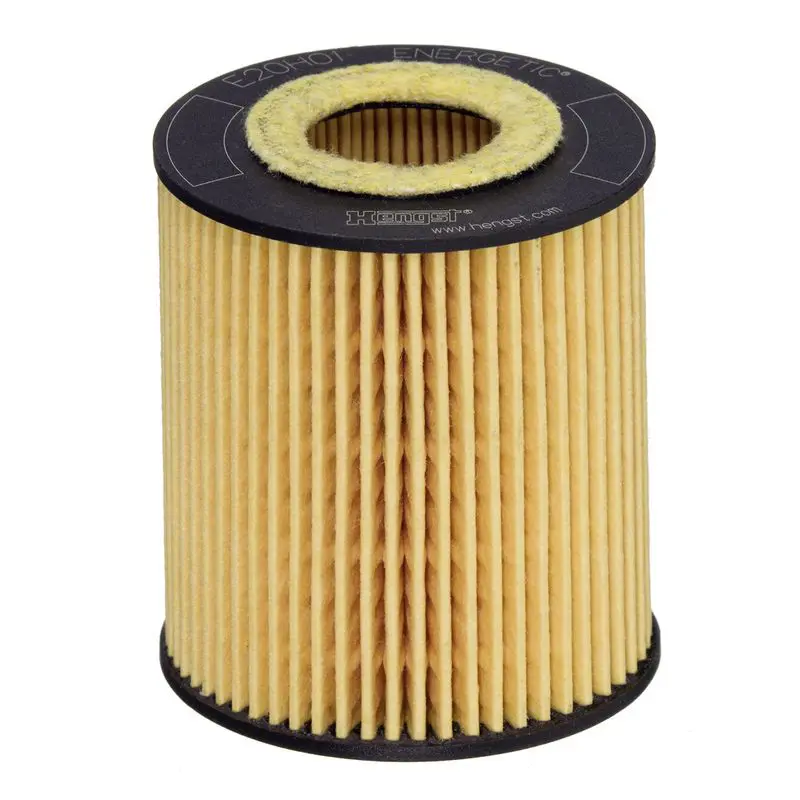 Eļļas filtrs HENGST E20H01D293