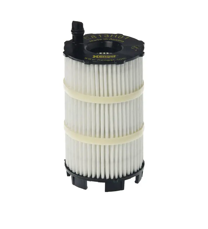 Eļļas filtrs HENGST E813H01D188