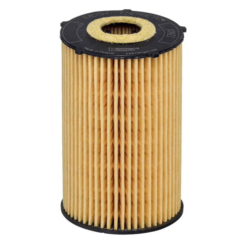 Eļļas filtrs HENGST E825HD265
