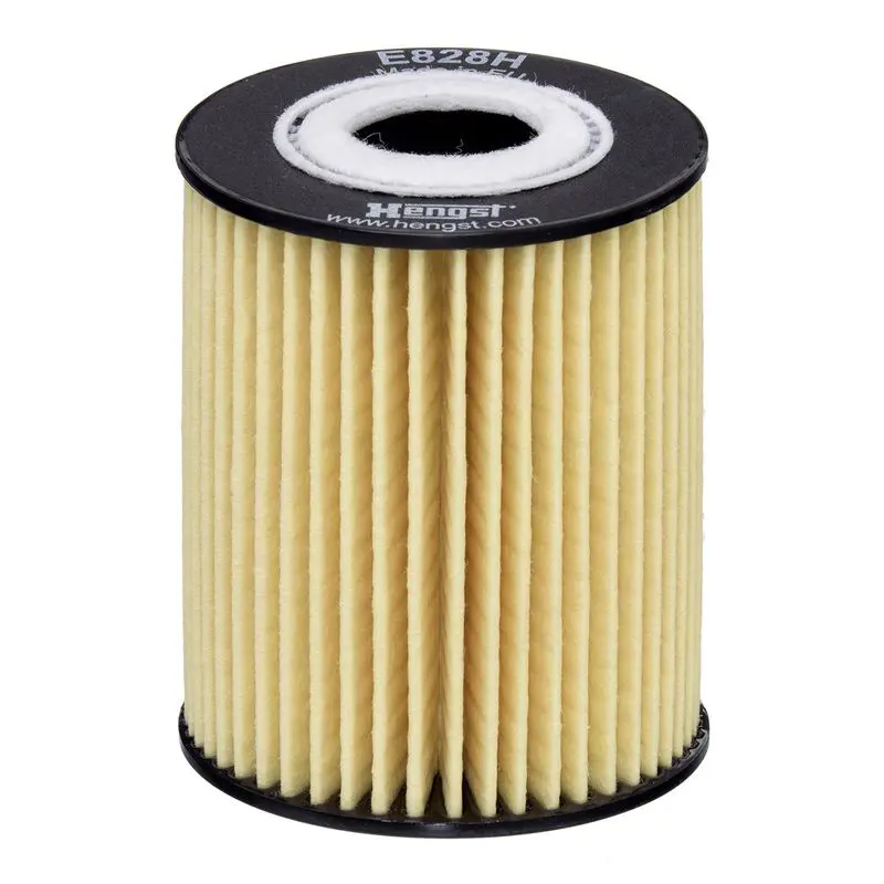 Eļļas filtrs HENGST E828HD292