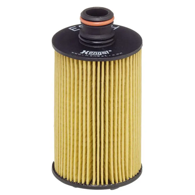 Eļļas filtrs HENGST E950HD485