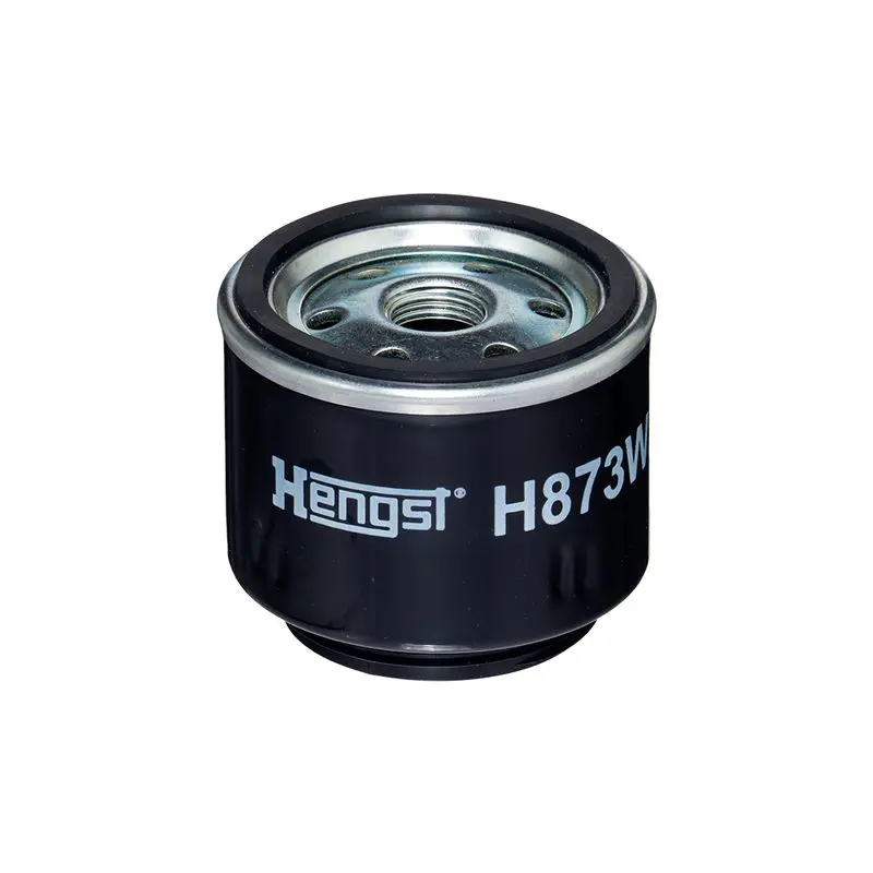 Degvielas filtrs HENGST H873WKD950