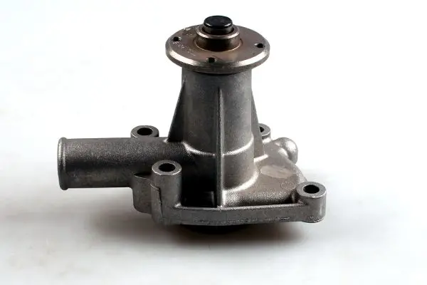 Ūdenssūknis HEPU P1024