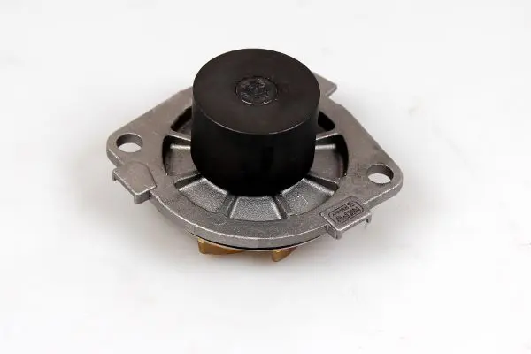 Ūdenssūknis HEPU P1053