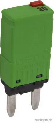 Kūstošais drošinātājs HERTH+BUSS 50295696