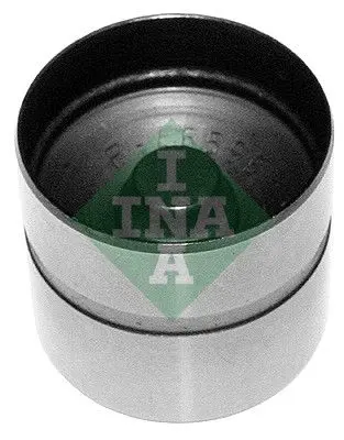 Bīdītājs INA 420021010