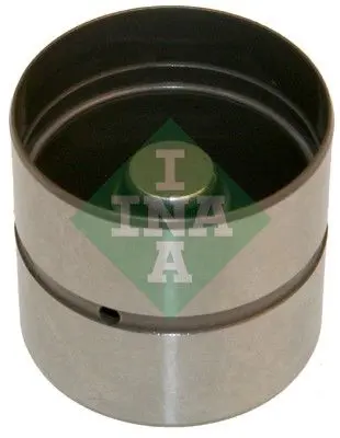 Bīdītājs INA 420022010