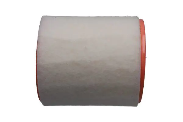 Air Filter KAVO PARTS FAF10491