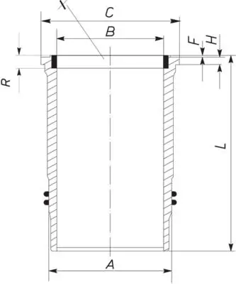 Cilindra čaula MAHLE 005WN1000