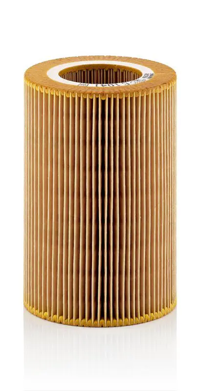 Gaisa filtrs MANN C1041