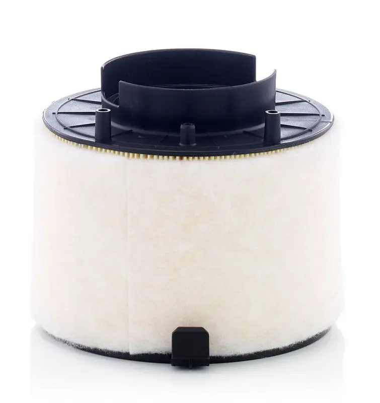 Gaisa filtrs MANN C17009