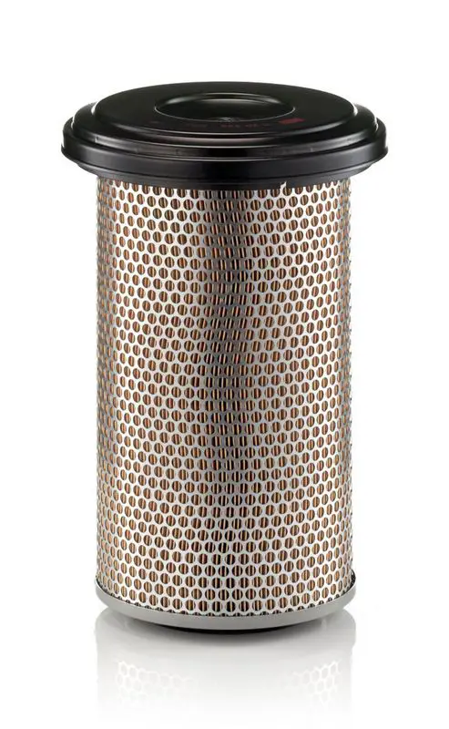 Gaisa filtrs MANN C20325