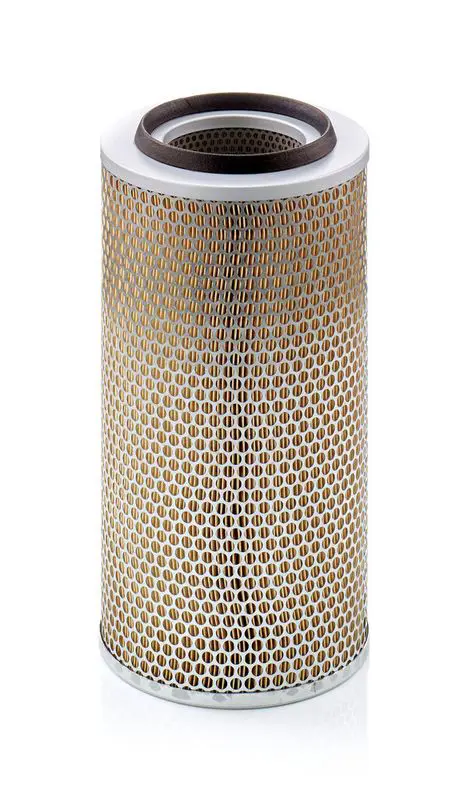 Gaisa filtrs MANN C203252