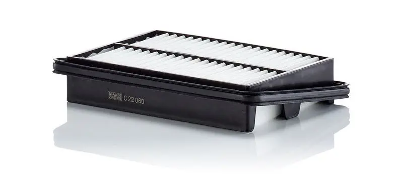 Gaisa filtrs MANN C22060