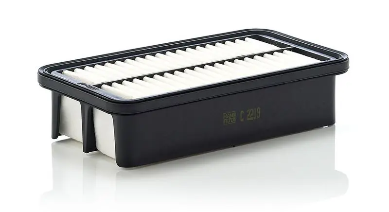 Gaisa filtrs MANN C2219