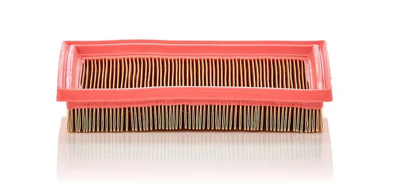 Gaisa filtrs MANN C2244