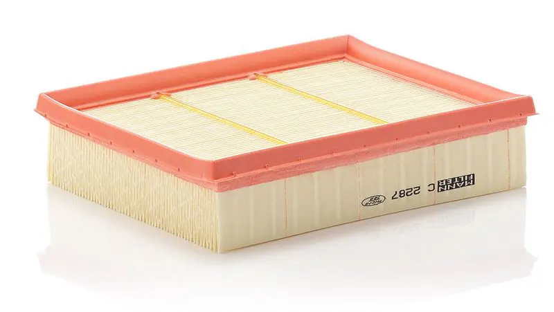 Gaisa filtrs MANN C2287