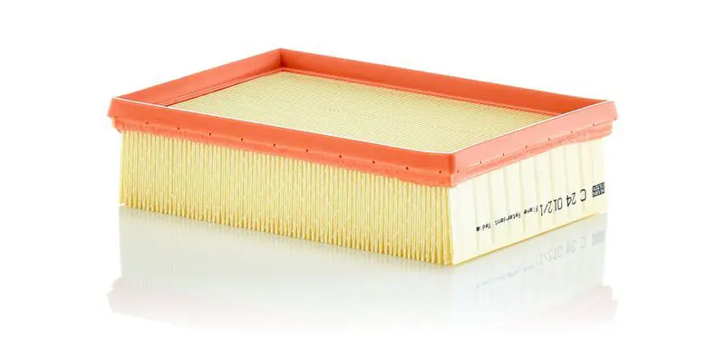 Gaisa filtrs MANN C240121