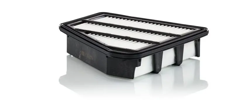 Gaisa filtrs MANN C24075