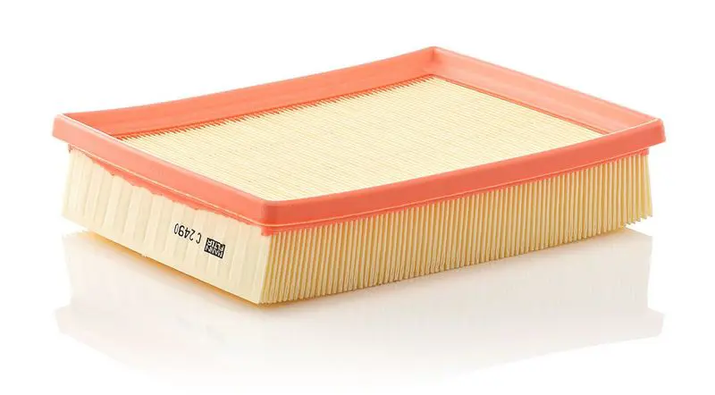Gaisa filtrs MANN C2490