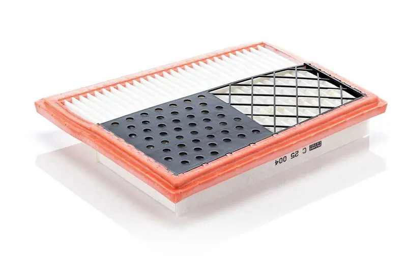 Gaisa filtrs MANN C25004