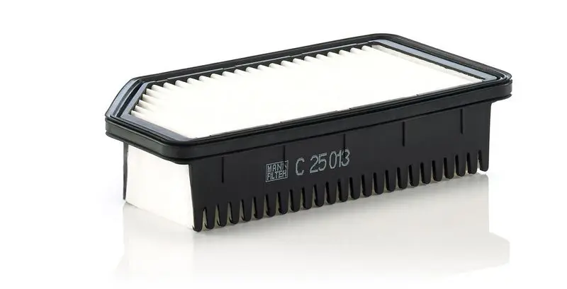 Gaisa filtrs MANN C25013