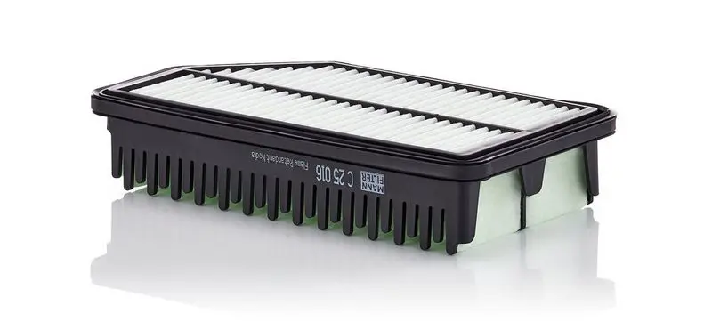 Gaisa filtrs MANN C25016