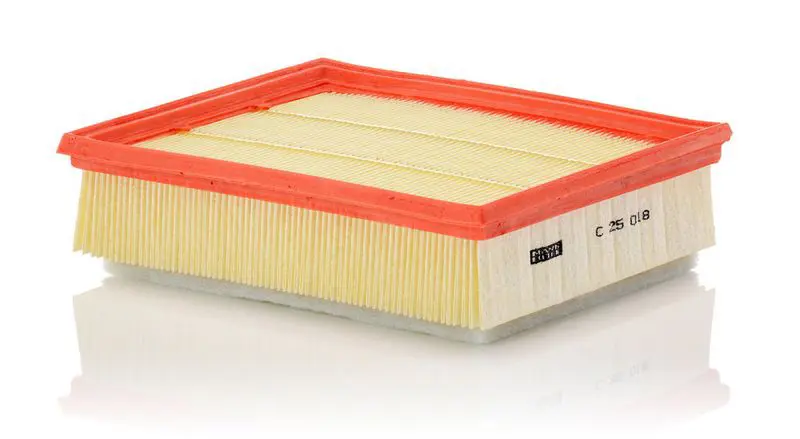 Gaisa filtrs MANN C25018